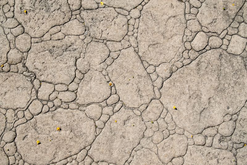 Decorative Concrete Repair in Saint Petersburg, FL