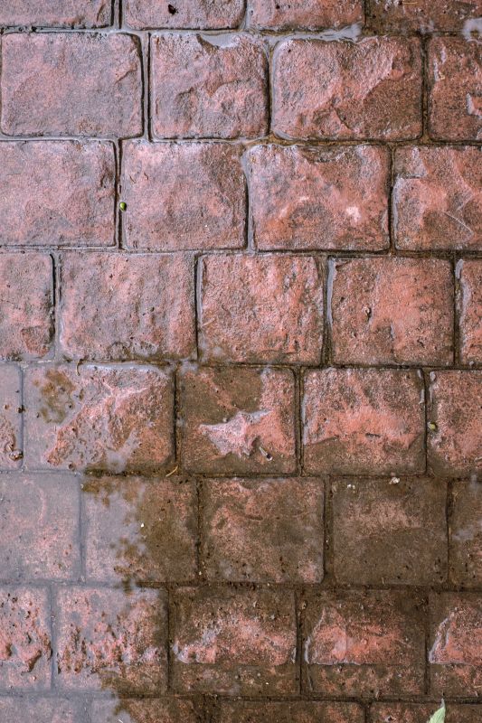 Decorative Concrete Repair in Clearwater, FL